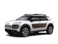 Imagine atasata: Citroen-C4-Cactus-13.jpg
